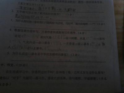 心儿怦怦跳作文450字 我的心儿怦怦跳作文400字