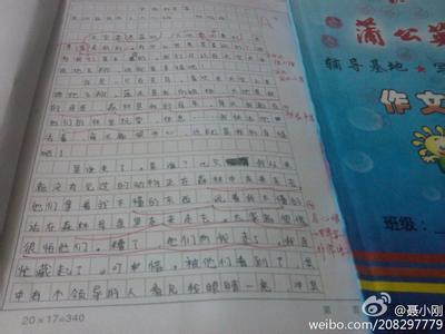 关于植物的作文400字 关于花的作文400字