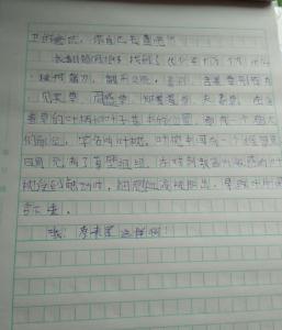 含羞草观察发现作文 作文含羞草的发现600字