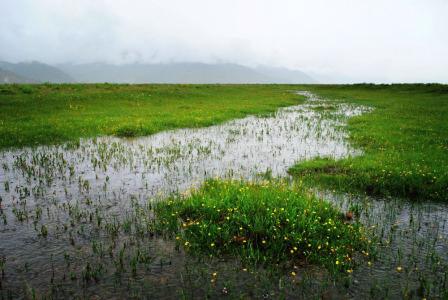 弯弯的河水从天上 弯弯的河水从天上来是什么歌？