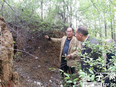 披麻草 披麻草 披麻草-披麻草，披麻草-正文