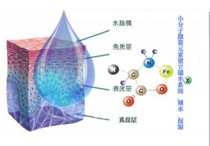 矿物质的生理功能 矿物质 矿物质-定义，矿物质-生理功能