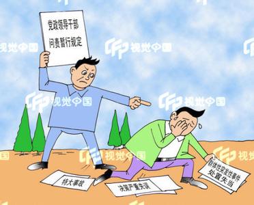 党政领导干部问责制 党政领导干部问责制 党政领导干部问责制-大纲，党政领导干部问责