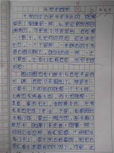 有关交通安全的作文 关于交通安全的作文400字