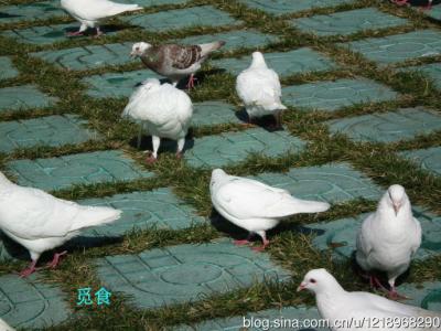 学会释怀 别让心累，学会释怀