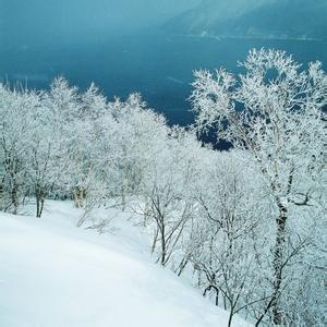 冬天的雪景作文200字 冬天的雪景作文