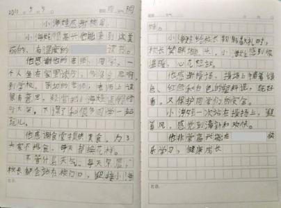 感恩学校的作文500字 感恩学校的作文