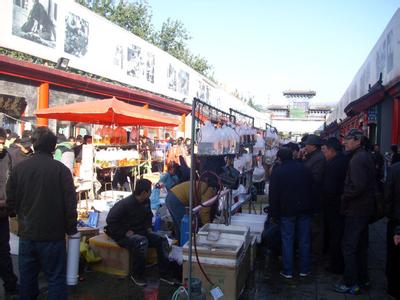 北京花鸟鱼虫市场 北京花鸟鱼虫市场 北京花鸟鱼虫市场-分布介绍，北京花鸟鱼虫市场