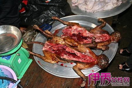 吃完芒果能吃猫肉吗 猫肉真的能吃吗