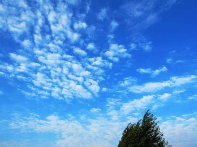 秋天的天空 古文 秋天的天空