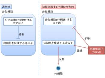 诱导性多能干细胞 诱导性多能干细胞 诱导性多能干细胞-基本概念，诱导性多能干细胞