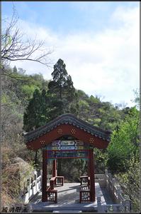 慈善寺 慈善寺 慈善寺-简介，慈善寺-出名原因