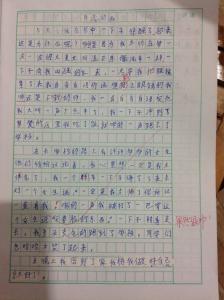 假如我是校长400字 假如我是校长400字的作文