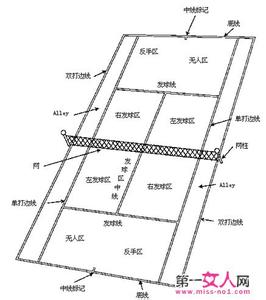 网球交换场地规则 网球规则 网球规则-通则，网球规则-场地规则