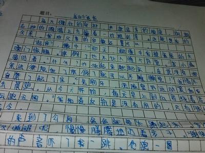 生活中的亮点作文800 生活中的亮点作文