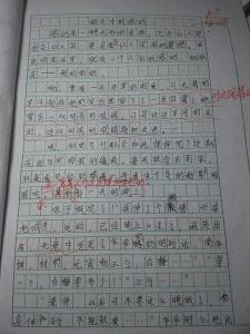 细节的魅力作文 细节的魅力作文600字