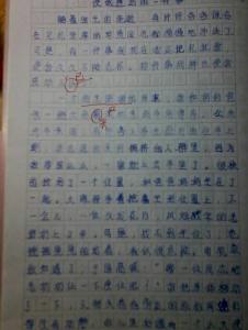 感动的事作文500字 感动的事作文800字