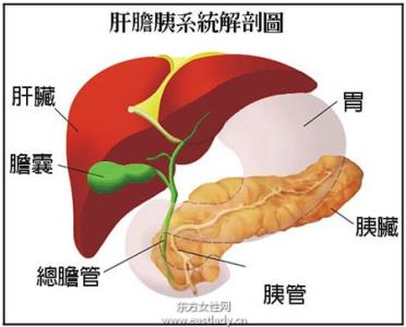 病理学的概述 胰脏癌 胰脏癌-基本概述，胰脏癌-病理原因