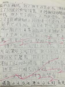 一句话的启示作文300 一句话的启示作文