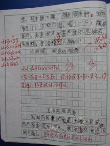 作文批改评语范例 作文批改评语怎么写