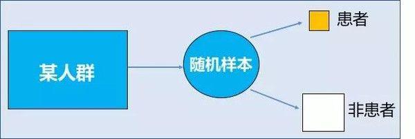 横断研究 横断面研究 横断面研究-横断面研究-一、横断面研究的概念，横断