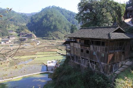 禹城吧前高村 后高村