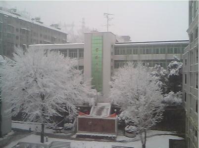 黄石市第三中学 黄石市第三中学 黄石市第三中学-学校简介，黄石市第三中学-校园