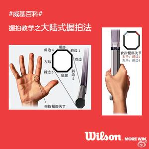 桥本氏病因 WILSON 氏病 WILSON氏病-概述，WILSON氏病-病因