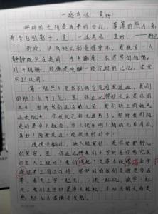 欣赏他人的作文600字 关于欣赏的作文600字