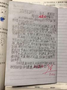 生命中的感动作文 感动生命作文