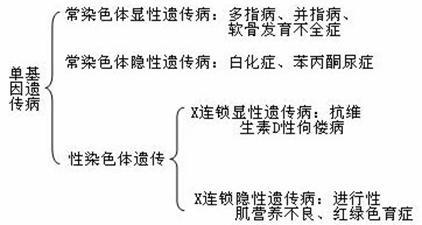 单基因遗传病 单基因遗传病 单基因遗传病-形成因素，单基因遗传病-疾病特征