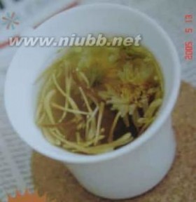 植物形态学 人参茶 人参茶-简介，人参茶-植物形态