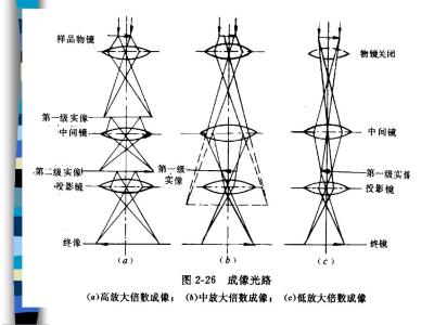 透射电子显微镜原理 透射电子显微镜 透射电子显微镜-正文，透射电子显微镜-基本原理