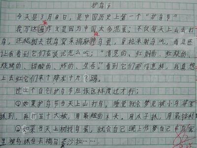 我的梦作文800字15篇 我的梦想之旅作文（4篇）