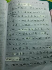 游记怎么写才精彩范文 游记作文怎么写