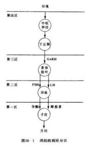 临床常见疾病概述 继发性闭经 继发性闭经-疾病概述，继发性闭经-临床症状