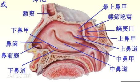 抽烟机的去污方法 去污 去污-去污定义，去污-去污的方法