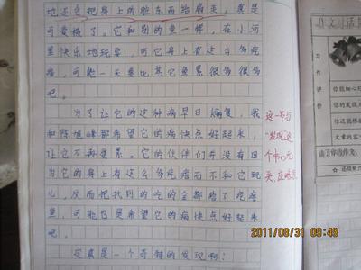 成长的足迹作文600字 成长的足迹作文