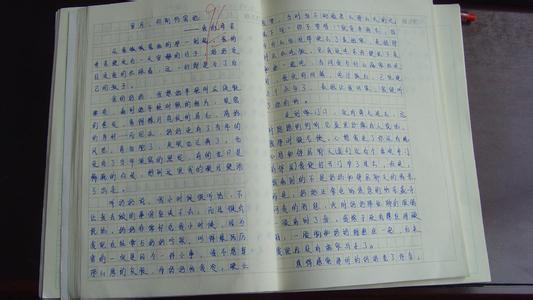 给我一双翅膀作文600字 给我一双翅膀作文