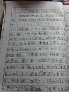 这也是爱600字作文初二 这也是爱作文