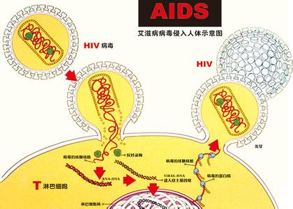 寨卡病毒传播方式 病毒感染 病毒感染-病因，病毒感染-传播方式