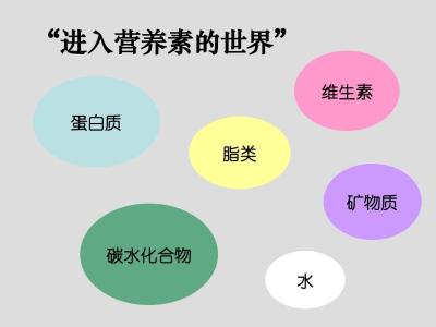 食品营养学 营养素 营养学 营养学-学科起源，营养学-营养素的分类