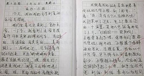 我的收获作文300字 我的收获作文400字