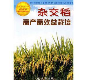 红薯栽培技术要点 南粳41 南粳41-简介，南粳41-栽培要点