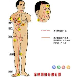 奇经八脉歌诀 奇经八脉 奇经八脉-主要部分，奇经八脉-八穴歌诀