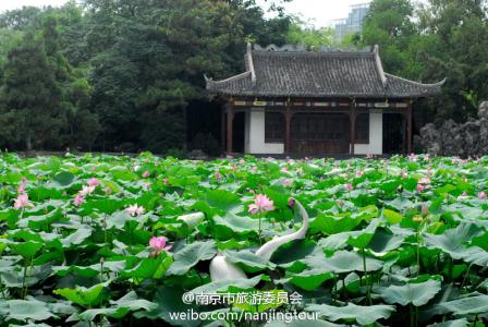 南京莫愁湖 莫愁湖 莫愁湖-南京莫愁湖，莫愁湖-简介