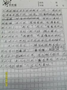 老师我感谢你作文400字 老师我感谢你作文