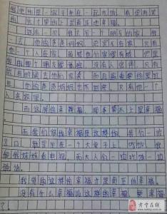 以绽放为题的作文600 绽放自己作文