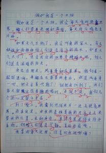 假如没有太阳500字 假如没有太阳作文