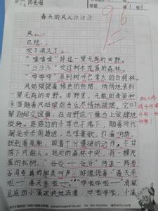 春天的风作文800字 春天的风作文